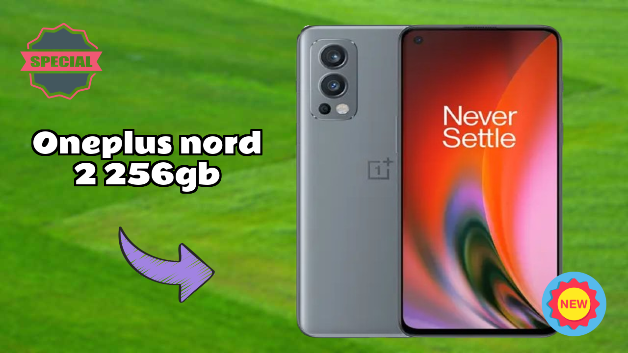 OnePlus Nord 2 256GB कैमरा टेस्ट: 50 MP + 8 MP + 2 MP Rear Camera रियल फोटो