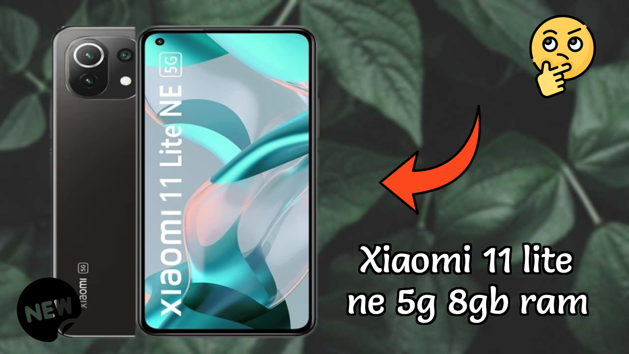 Xiaomi 11 Lite NE 5G 8GB RAM कैमरा टेस्ट: 64 MP + 8 MP + 5 MP Rear Camera सैंपल शॉट्स
